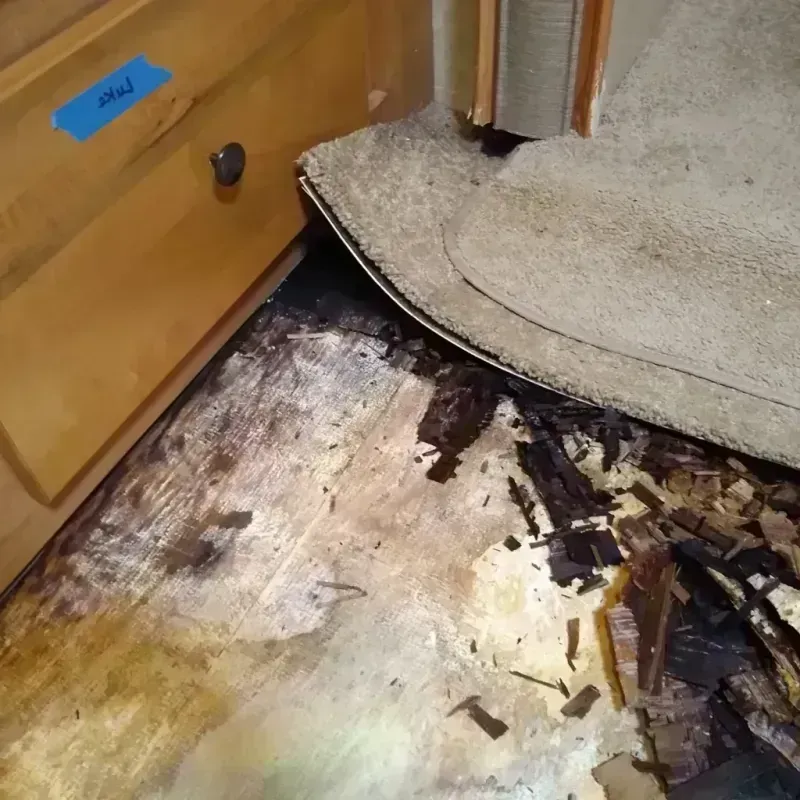 Wood Floor Water Damage in Channel Lake, IL